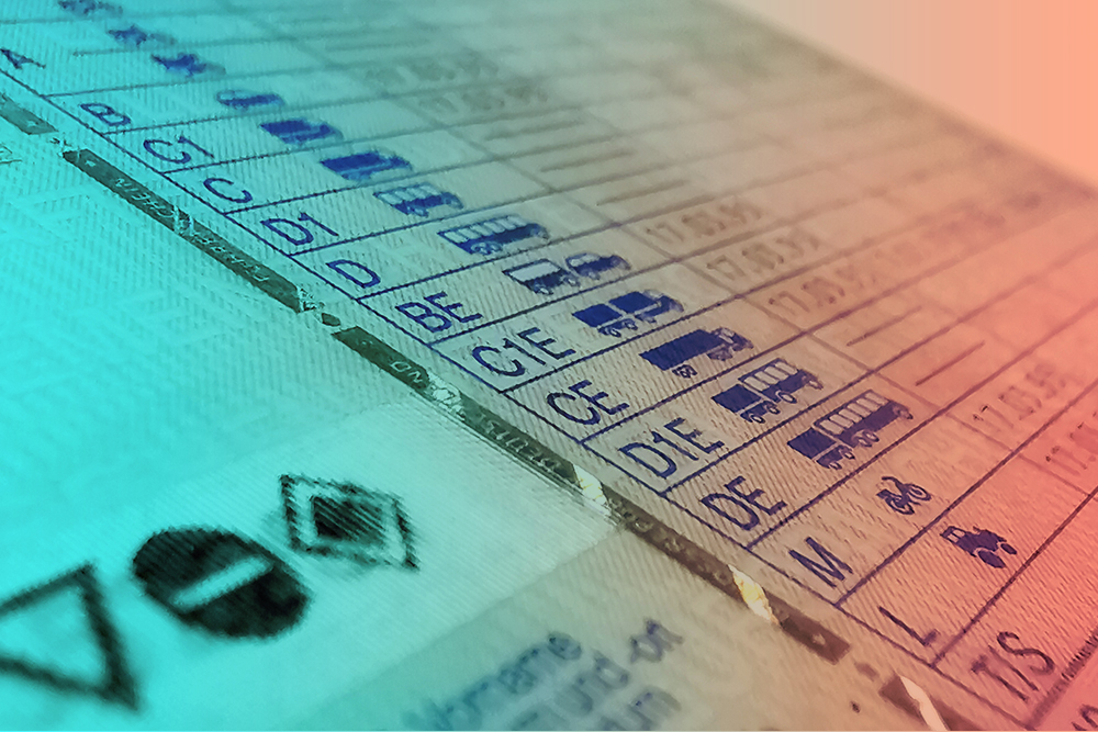 Führerscheinklassen der Fahrschule Moin in Oldenburg